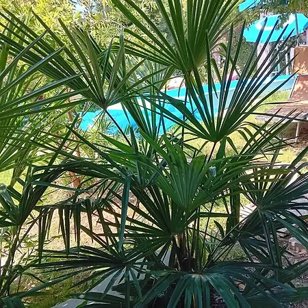 Sogno Vacanze
